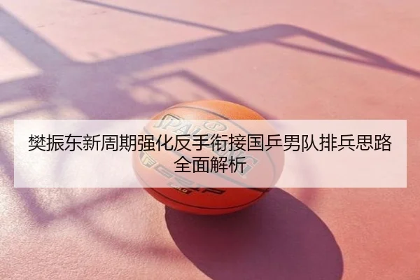 樊振东新周期强化反手衔接国乒男队排兵思路全面解析